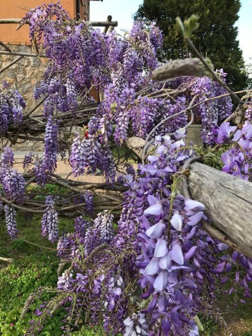 Agriturismo Il Sorbino - Appartamento Da Cocca Pian d'Alma 外观 照片