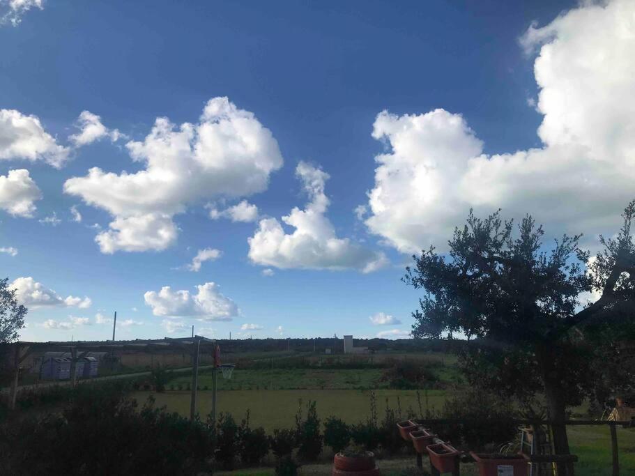 Agriturismo Il Sorbino - Appartamento Da Cocca Pian d'Alma 外观 照片