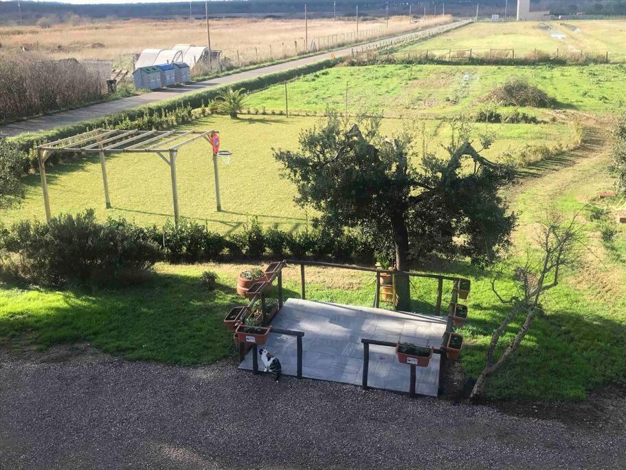 Agriturismo Il Sorbino - Appartamento Da Cocca Pian d'Alma 外观 照片